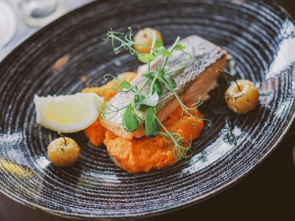 Salmon