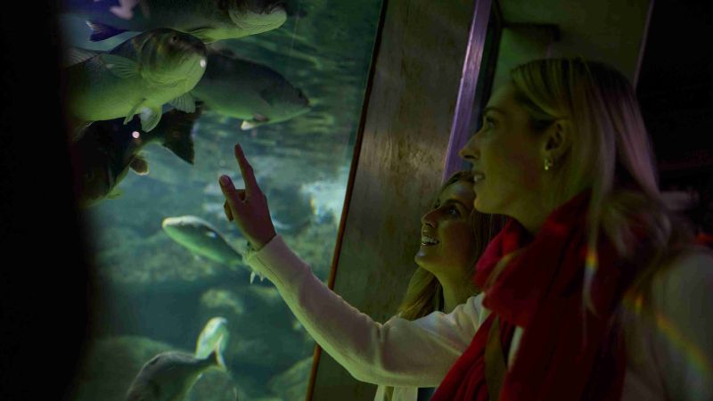 Galway Atlantaquaria, Galway City_master_11zon
