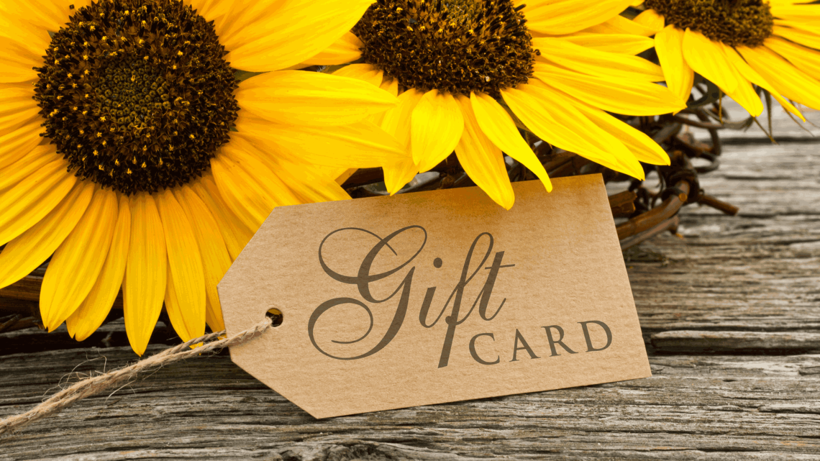 Website Voucher Banner (3)_11zon